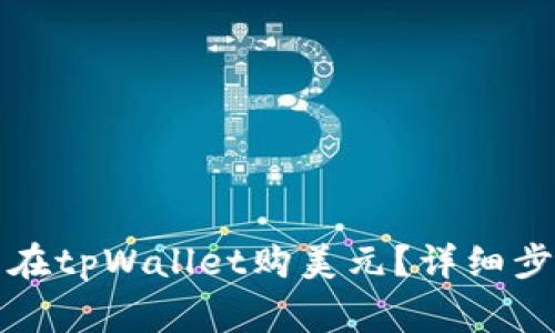 如何用人民币在tpWallet购美元？详细步骤及注意事项