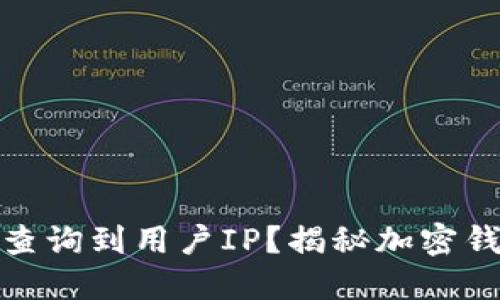 加密钱包地址能否查询到用户IP？揭秘加密钱包的隐私保护机制