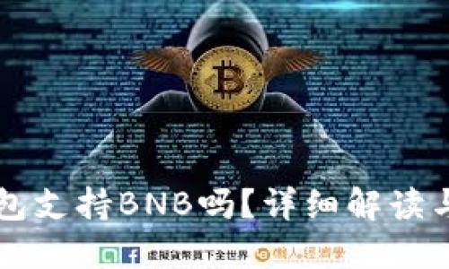 比特派钱包支持BNB吗？详细解读与使用指南