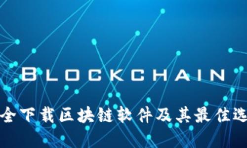 如何安全下载区块链软件及其最佳选择指南