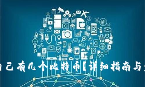 怎么查自己有几个比特币？详细指南与步骤解析