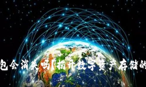 区块链钱包会消失吗？揭开数字资产存储的未来趋势