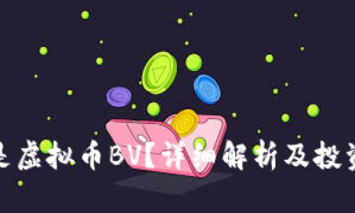 什么是虚拟币BV？详细解析及投资风险