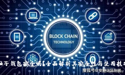 柚子钱包安全吗？全面解析其安全性与使用技巧