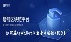 如何在tpWallet上查看币安链