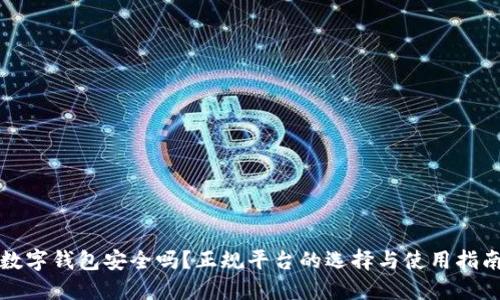 数字钱包安全吗？正规平台的选择与使用指南