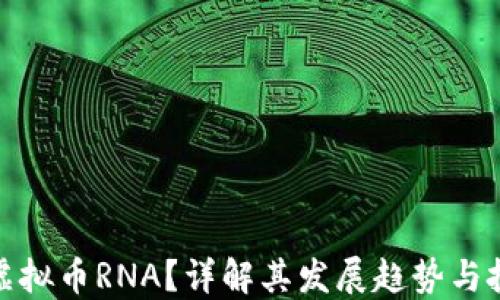 
什么是虚拟币RNA？详解其发展趋势与投资机会