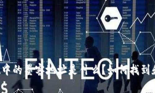 tpWallet中的墨客地址是什么？如何找到和使用它？