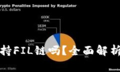 tpWallet支持FIL链吗？全面解析与用户体验