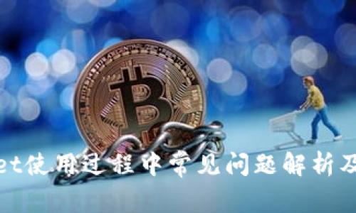 : tpWallet使用过程中常见问题解析及解决方案