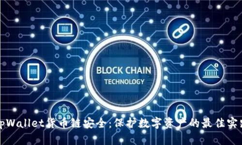 tpWallet货币链安全：保护数字资产的最佳实践