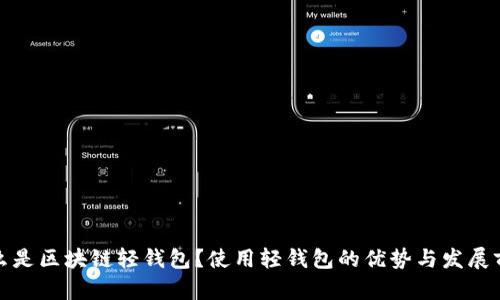 什么是区块链轻钱包？使用轻钱包的优势与发展前景