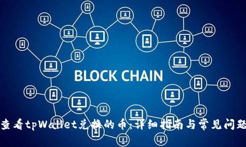 如何查看tpWallet兑换的币：详细指南与常见问题解答