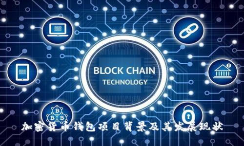 加密货币钱包项目背景及其发展现状