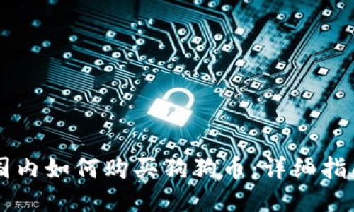 国内如何购买狗狗币：详细指南