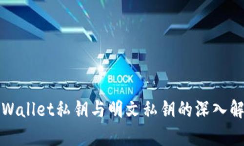tpWallet私钥与明文私钥的深入解析