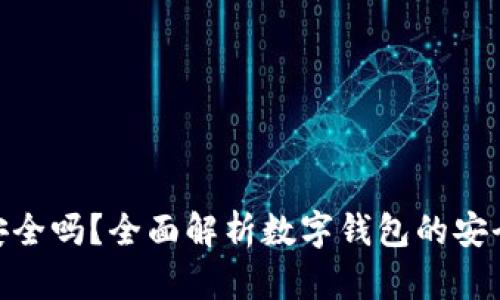 数字钱包安全吗？全面解析数字钱包的安全性与风险