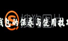 加密钱包的保养与使用技巧指南