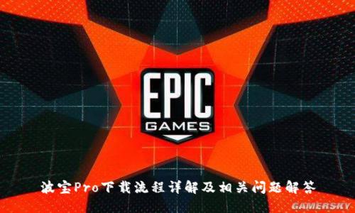 波宝Pro下载流程详解及相关问题解答