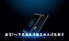 波宝Pro下载流程详解及相