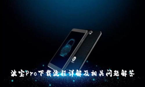波宝Pro下载流程详解及相关问题解答